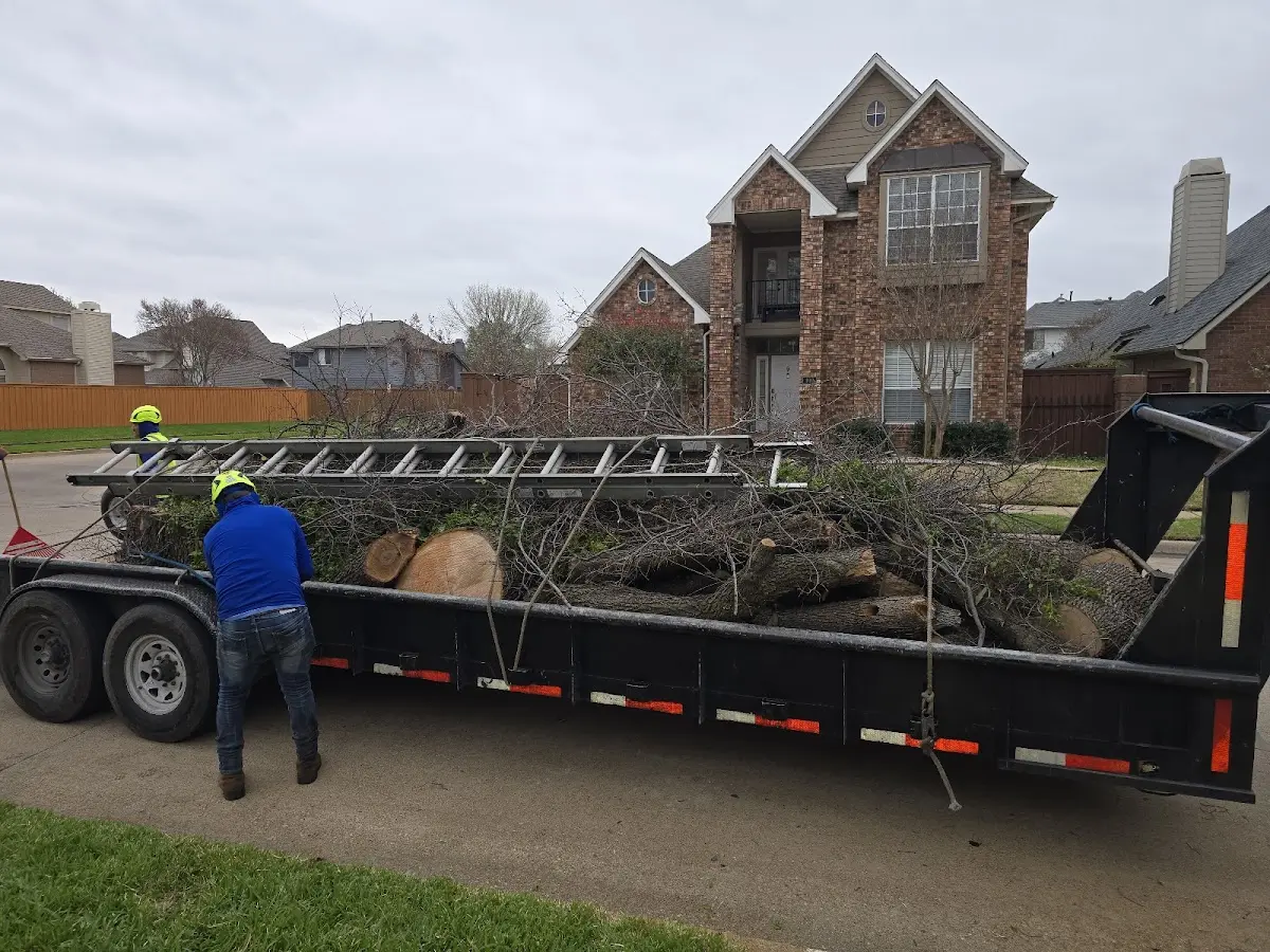 Expert Lot Clearing with proper safety equipment in Oakpark